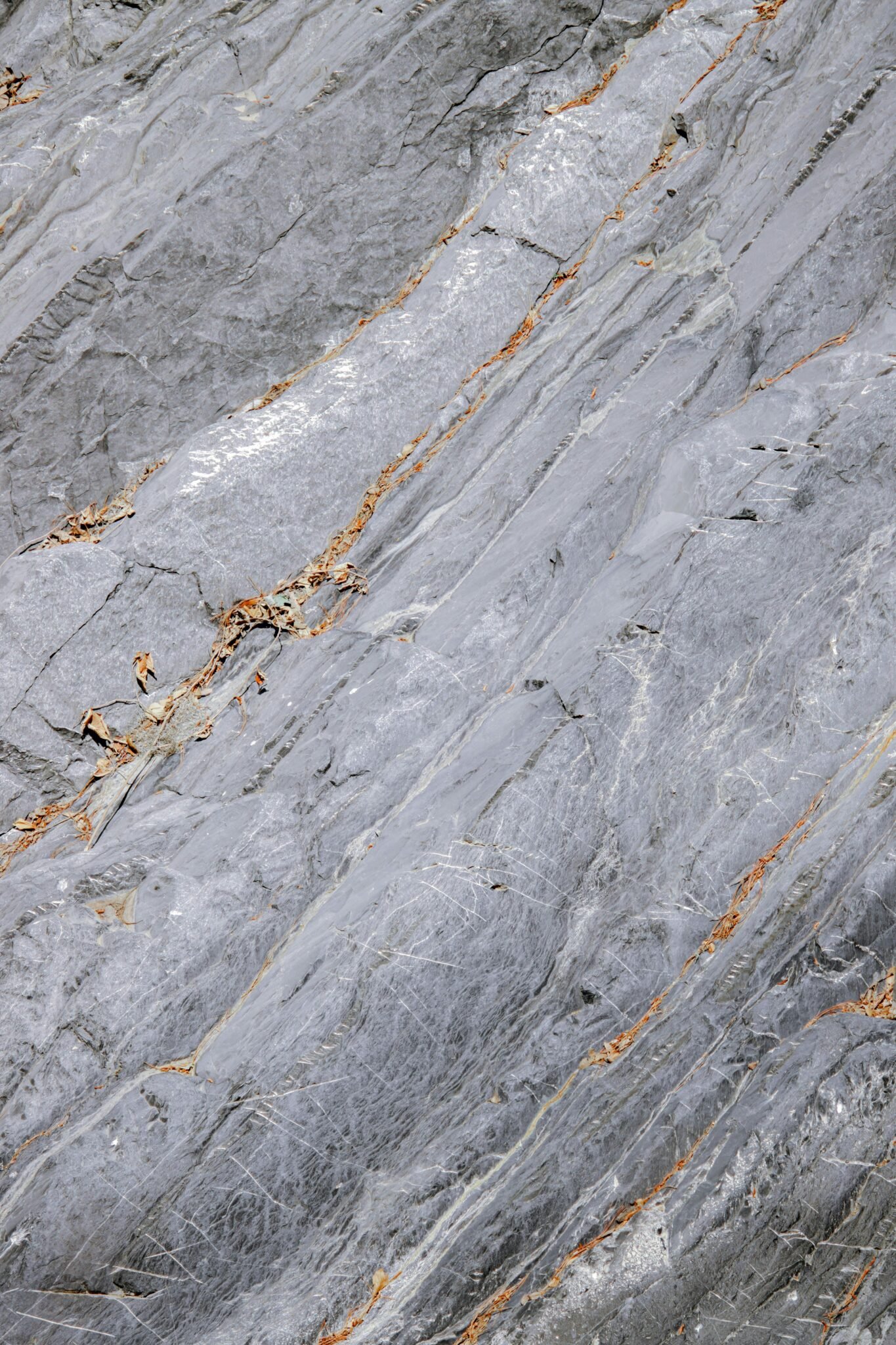 Close-up of a grey rock surface showing natural layered textures and patterns.